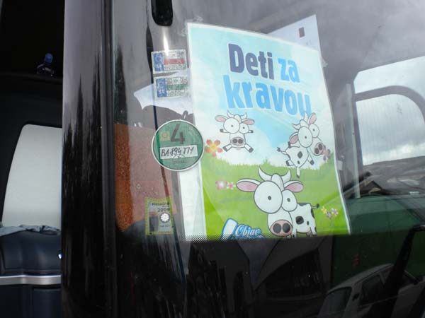 Deti za kravou 053